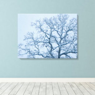 Oak Tree in Snow Canvas Print