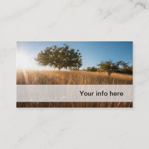 Oak tree in sunny golden meadow business card