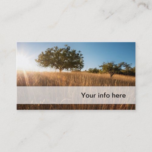 Oak tree in sunny golden meadow business card template