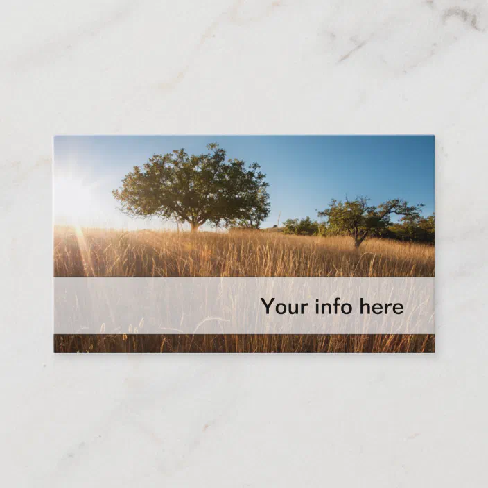 Oak Tree In Sunny Golden Meadow Business Card Zazzle Com