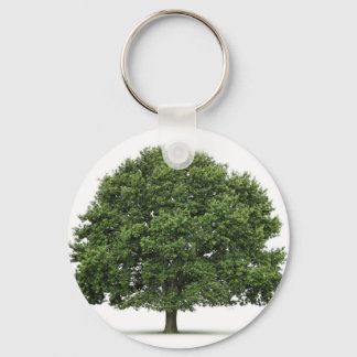 Oak Tree Keychain