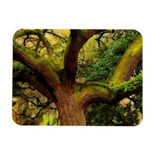 Oak tree magnet