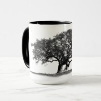 OAK TREE