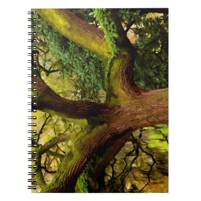 Oak tree notebook (Front)