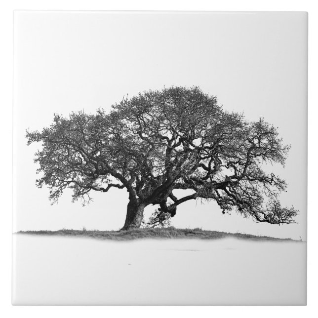 OAK TREE ON WHITE CERAMIC TILE (Front)