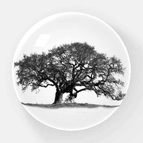 OAK TREE PAPERWEIGHT