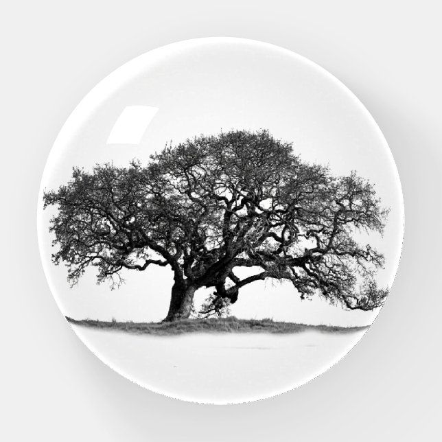 OAK TREE PAPERWEIGHT (Front)