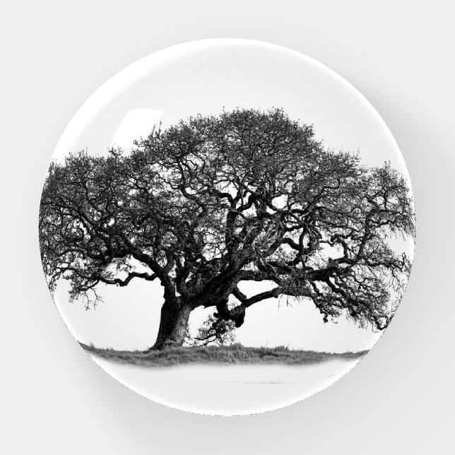OAK TREE PAPERWEIGHT (Front)