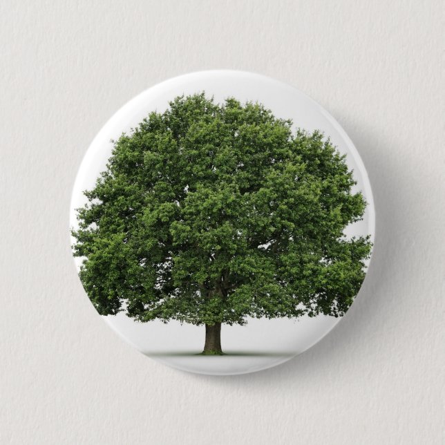 Oak Tree Pinback Button (Front)