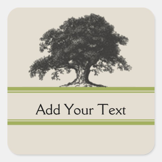Oak Tree Plantation in Green Square Sticker (Front)