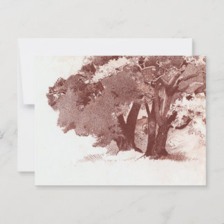 Oak Tree Postcard