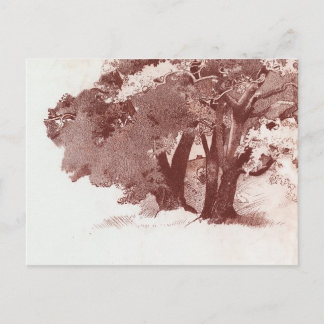 Oak Tree Postcard (Front)