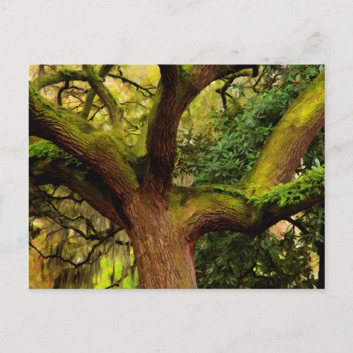 Oak tree postcard