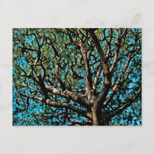 Oak Tree Postcard
