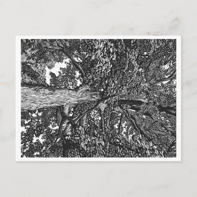 Oak Tree Postcard (Front)