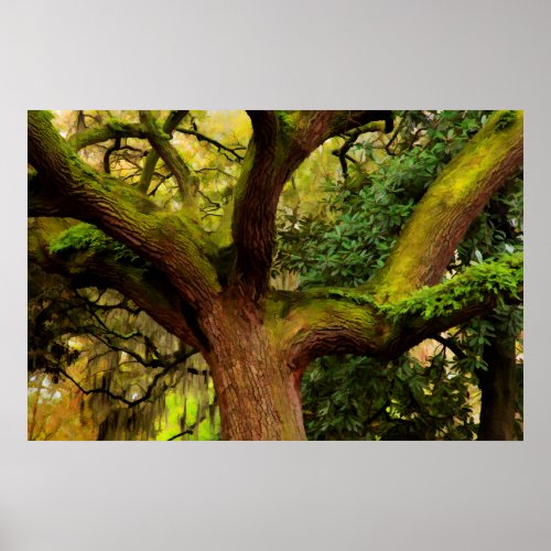 Oak tree poster