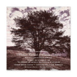 Oak