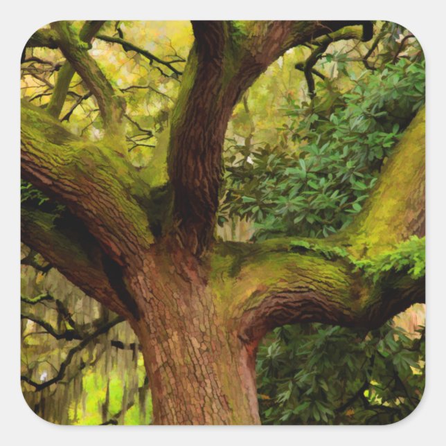 Oak tree square sticker (Front)