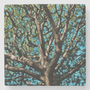 Oak Tree Stone Coaster