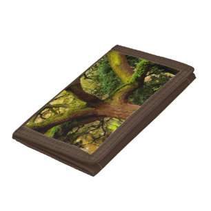 Oak tree trifold wallet