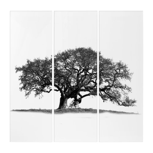 OAK TREE TRIPTYCH