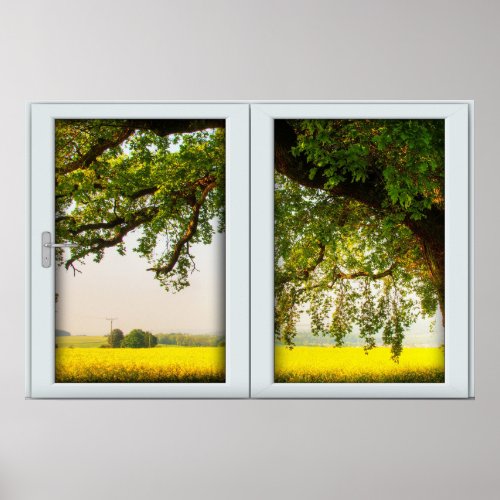 Oak Tree White 2 Pane Window Illusion Poster