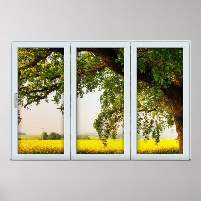 Oak Tree White 3 Pane Window Illusion Poster (Front)