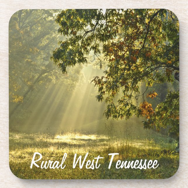 Oak Tree with Morning Sunbeams Beverage Coaster (Front)