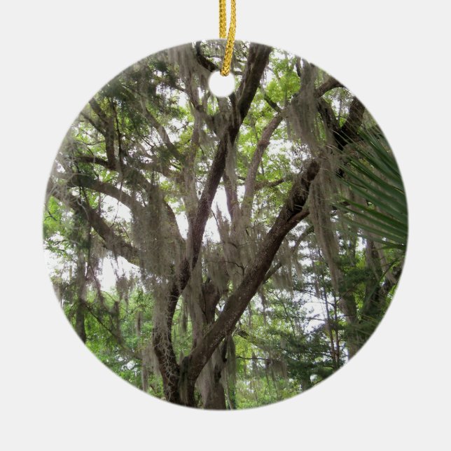 oak tree with Spanish moss waving in the branches Ceramic Ornament (Front)