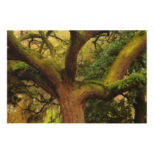 Oak tree wood wall decor