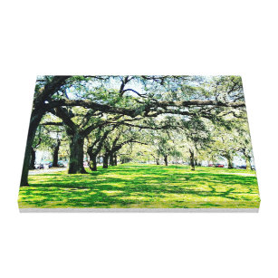 Oak trees in Savannah, GA Canvas Print