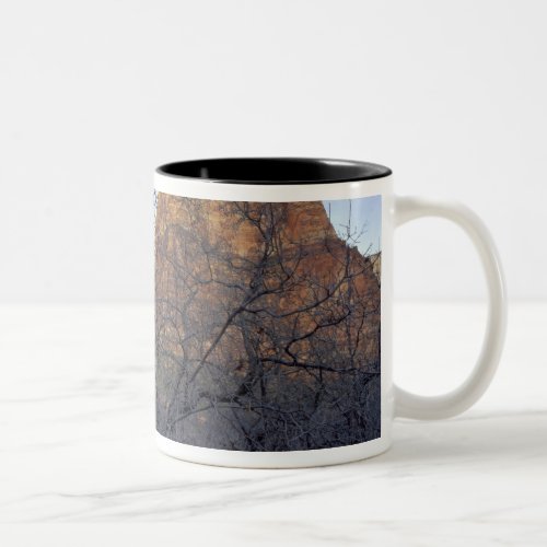 Oak trees in winter Court of the Patriarchs Two_Tone Coffee Mug