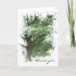 Oak Trees Thank You Card at Zazzle