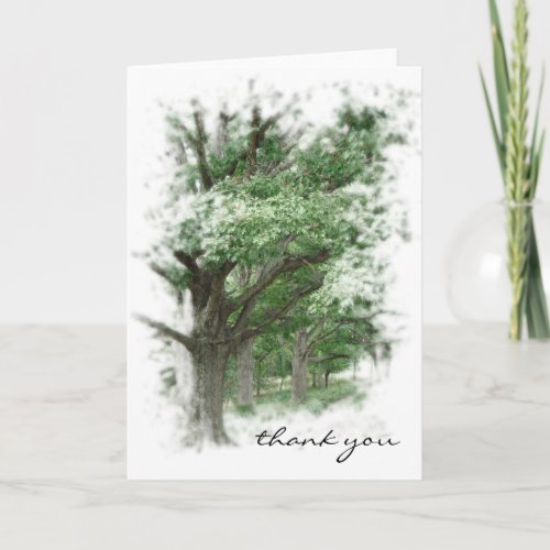 Oak Trees Thank You Card