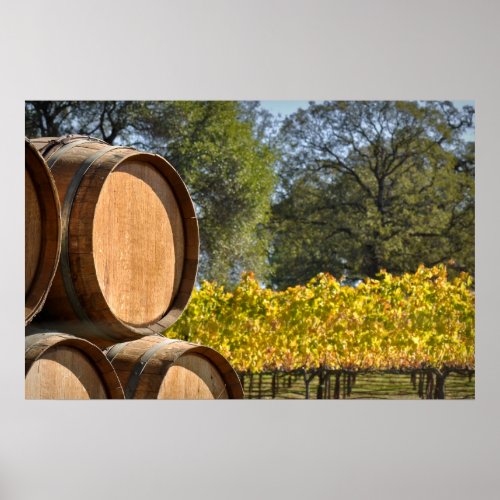 Oak Wine Barrel Poster