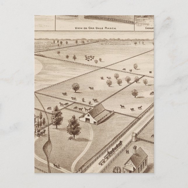 Oakdale Ranch Postcard (Front)