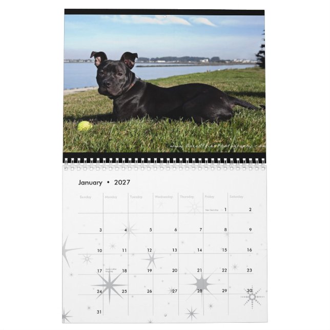 Oakland Animal Services - 2010 Calendar (Jan 2027)