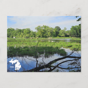 Oakland Metropark Swans with Logo Postcard