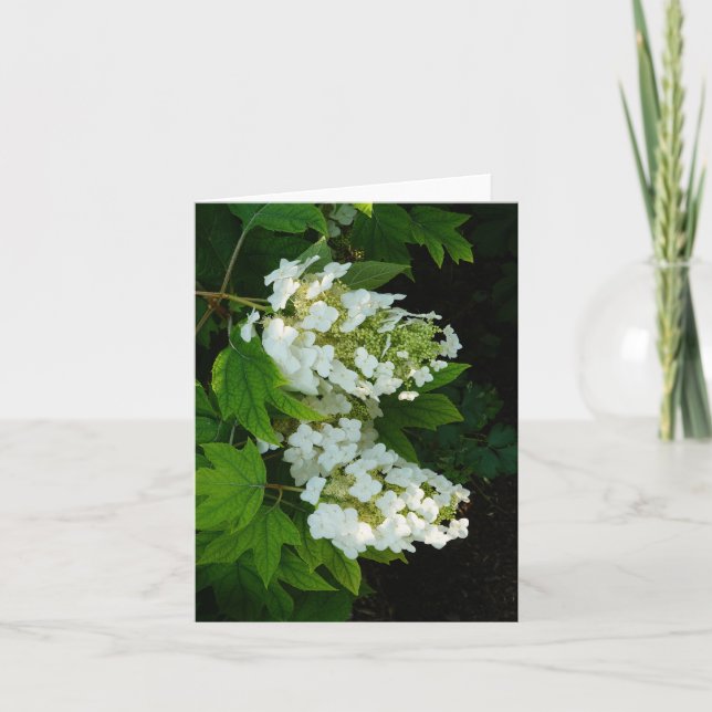 Oakleaf Hydrangea Thank You Card (Front)