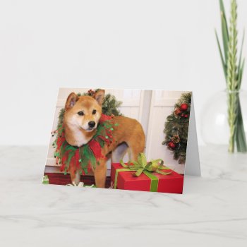Oakley - Shiba Inu - Vanbladel Holiday Card by FrankzPawPrintz at Zazzle