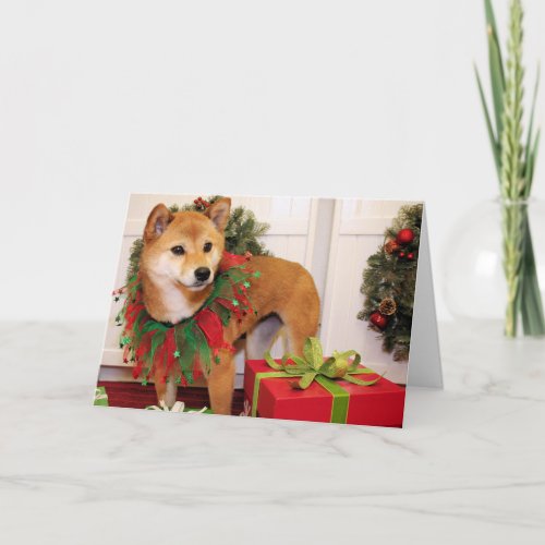 Oakley _ Shiba Inu _ VanBladel Holiday Card