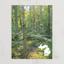Oakwoods Metropark Trail Summer Forest With Logo