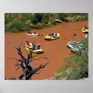 Oar powered rafts turn into the Colorado River Poster