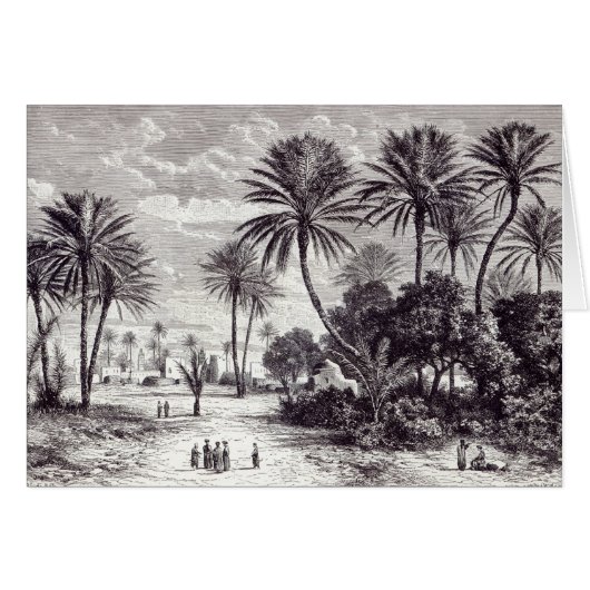 Oasis of Gafsa: Tunis Cards (Front Horizontal)