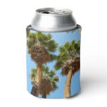 Oasis Palms at Joshua Tree National Park Can Cooler