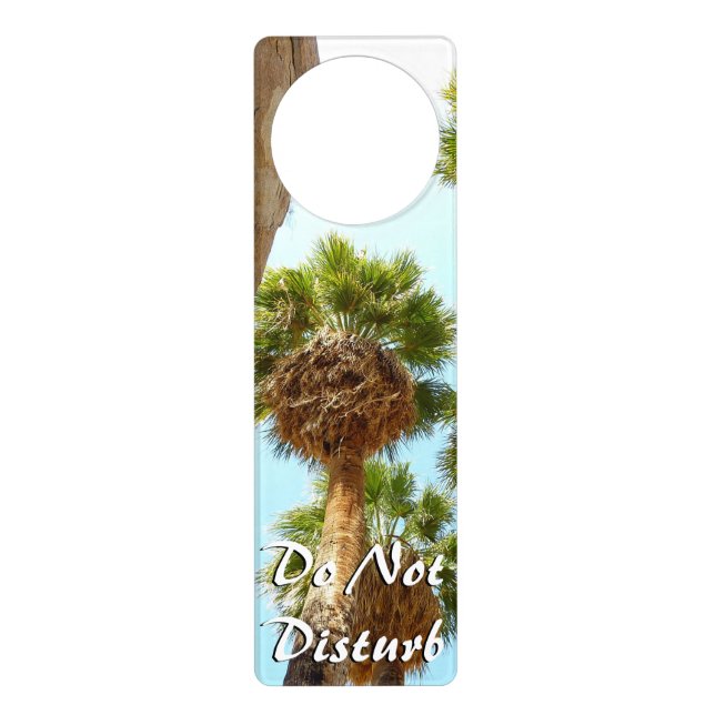 Oasis Palms at Joshua Tree National Park Door Hanger (Front)