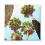 Oasis Palms at Joshua Tree National Park Magnet