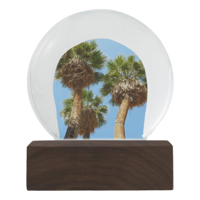 Oasis Palms at Joshua Tree National Park Snow Globe (Front)