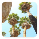 Oasis Palms at Joshua Tree National Park Square Sticker