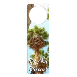 Oasis Palms in Joshua Tree National Park Door Hanger
